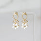 Faceted Pearl Drop Studs