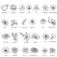 Birth Month Flower Engraved Options