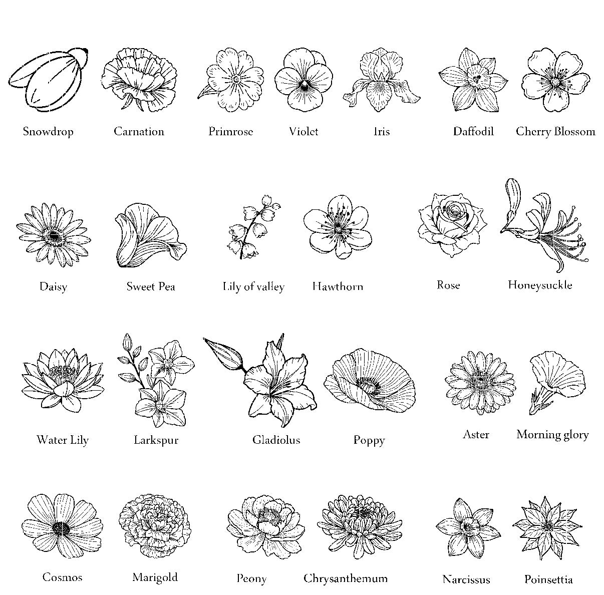 Birth Month Flower Engraved Options