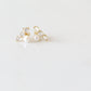 Pearl plus CZ Bar Studs