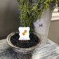 Memory Flower Mini Square Studs